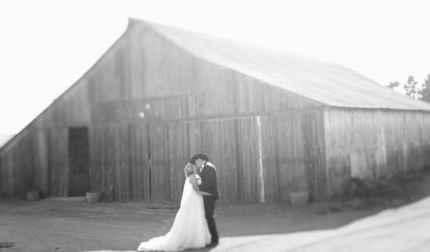 pascoe 503 2659219232 O